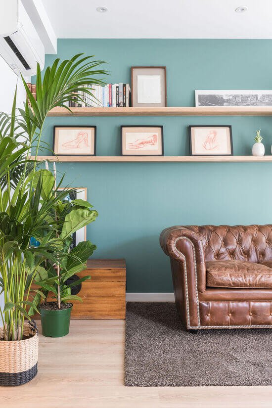 como-y-porque-decorar-con-plantas 18.jpg como-y-porque-decorar-con-plantas 18.jpg
