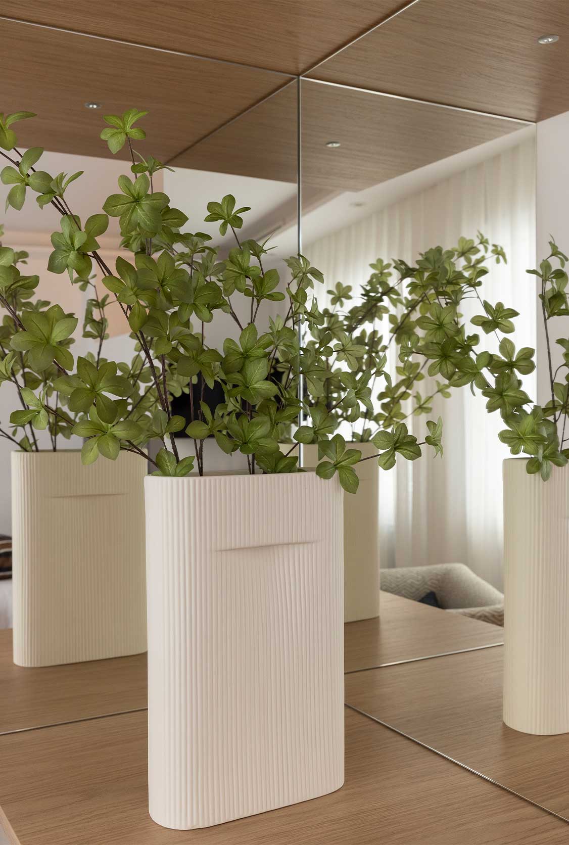 Home decorated with indoor plants